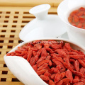 /msite/products/detail/productid/55956795/id/542688.html
